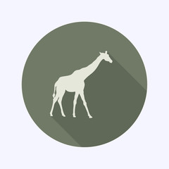 Flat Design icon, giraffe, vector 