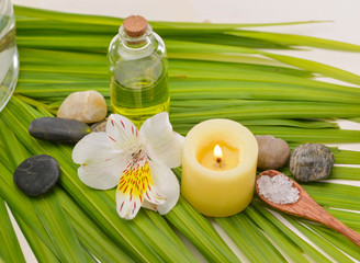 Green palm leaf background- spa setting