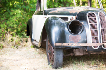 Obraz na płótnie Canvas Old Car rusting in forest