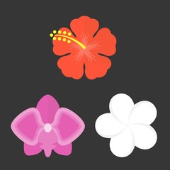 Vector flower icons set,flat design