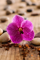 pink orchid and stones on old wood texture
