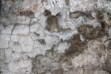 Old vintage cracked wall. - 95982603