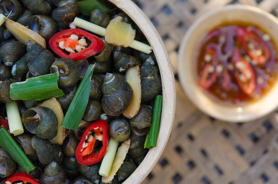 Snails is boiled by steam with ginger, chilli and citronella. Ab