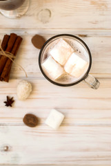 Obraz na płótnie Canvas Cocoa drink with marshmellows