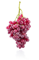 Cluster fresh grapes ripe fruit. Isolated on white background