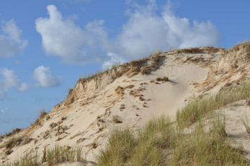 Polnische Sahara