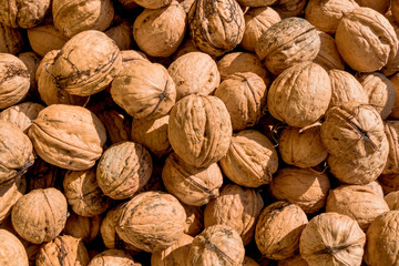 Viele Walnüsse Nahaufnahme