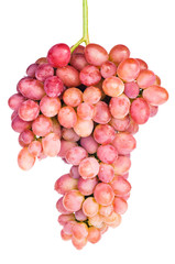 Pink grape