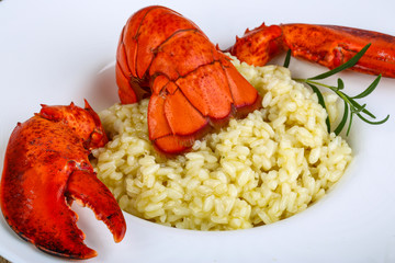 Risotto with lobster