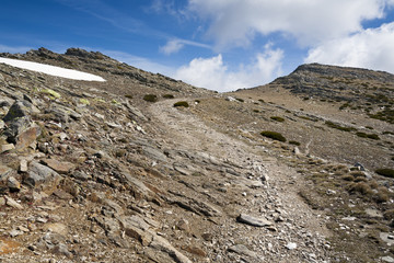 Camino en Las Peñuelas. Sierra Norte. Segovia