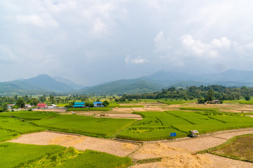 Asian rice field after harvest in Nan province, Thailand
