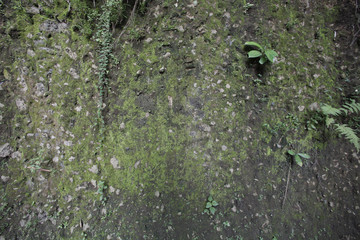 Background concrete wall