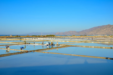 salt field in Ca na, Ninh Thuan, Vietnam