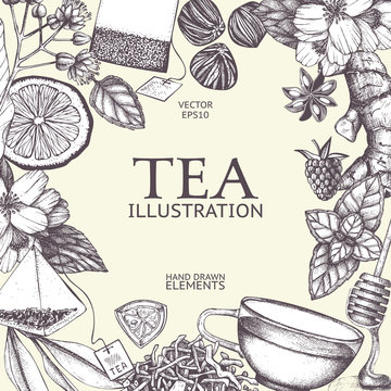 Vector card design with hand drawn tea illustration. Decorative inking background with vintage tea sketch. Sketched template