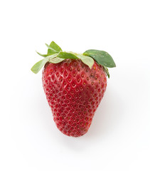 fresh strawberry