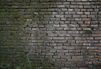 Old brick wall background