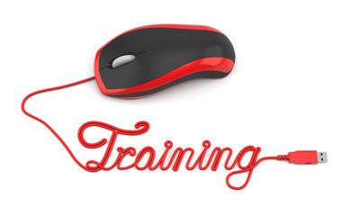 Online training concept