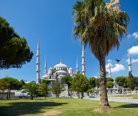 Sultan Ahmed Mosque  (Blue Mosque), Istanbul