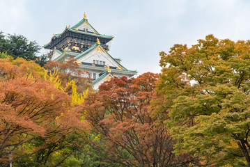 Naklejka premium Osaka castle in early autumn season in Osaka, Japan.