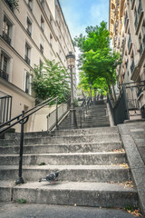 Fototapeta na wymiar Montmartre staircase in Paris