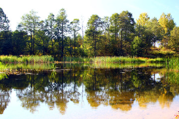 Obraz premium View of the river in the sunny autumn day