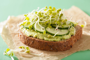 healthy rye bread with avocado cucumber radish sprouts
