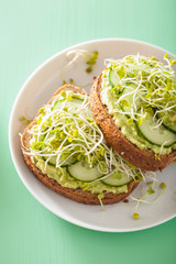 healthy rye bread with avocado cucumber radish sprouts