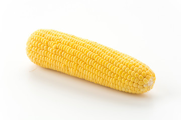 fresh corn