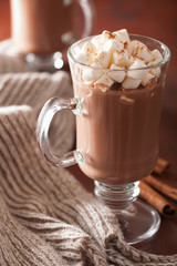 hot chocolate with mini marshmallows cinnamon winter drink