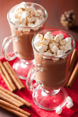 hot chocolate with mini marshmallows cinnamon winter drink