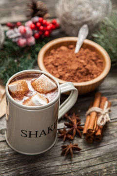Cocoa drink with marshmallows