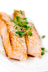 Fried salmon with sesame seeds and herbs on white