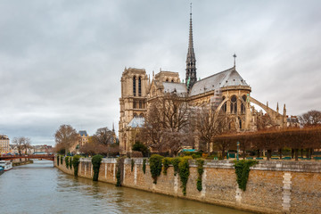 Fototapeta na wymiar Cathedral of Notre Dame de Paris 