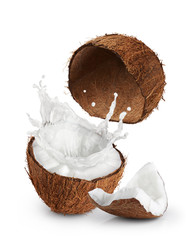 Coconuts with milk splash on white background. © vitals