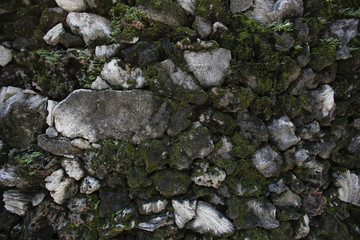 Background concrete wall