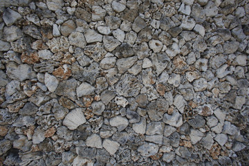 Background concrete wall