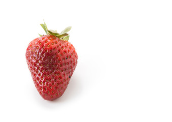 fresh strawberry