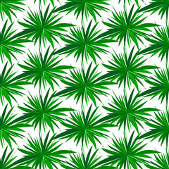 Green grass on a white background.