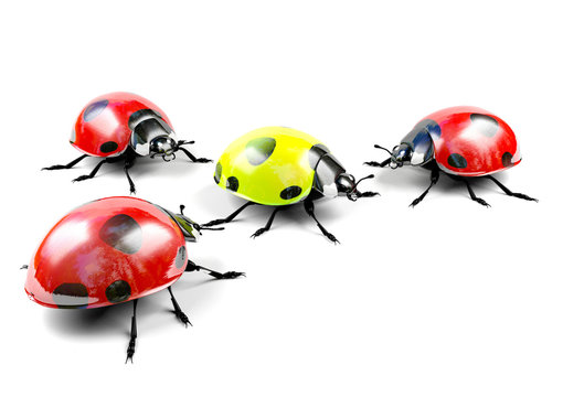 Yellow ladybug among red ladybugs
