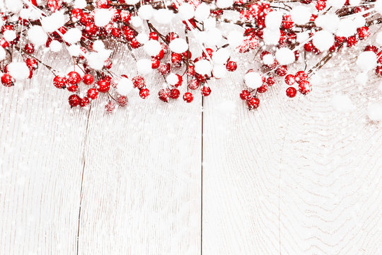 Christmas background with berries