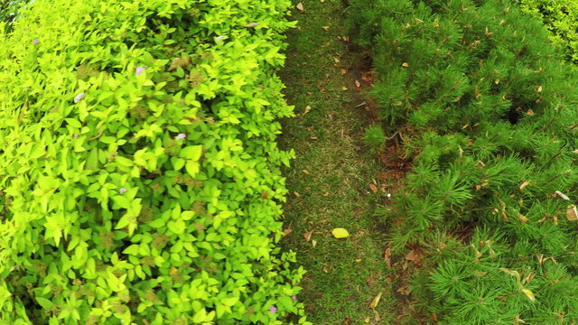 Flower Garden in city park