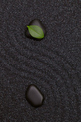 Black zen stones  balance with green leaf on them