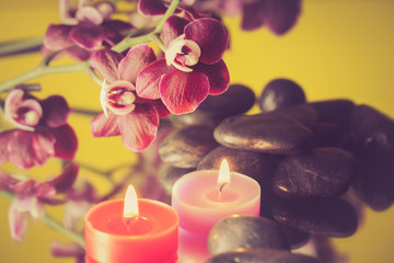 orchidee con candeline