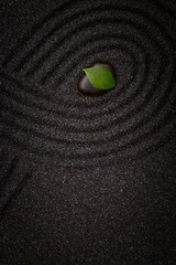 Zen garden with wave lines in the black grain sand with a green leaf