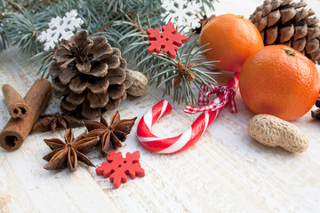 Obraz na płótnie Canvas Christmas cones and Christmas tree branch