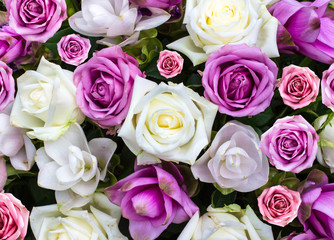 beautiful flowers roses 