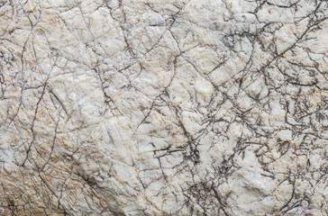 Closeup surface of big rock for decoration in the garden texture background