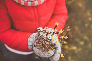 Autumn bouquet in hands of the girl