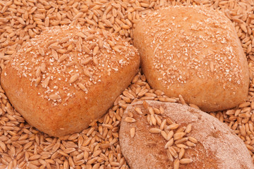 frisches Brot mit Gereidekörnern