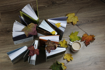 autumn leaves on top of the book